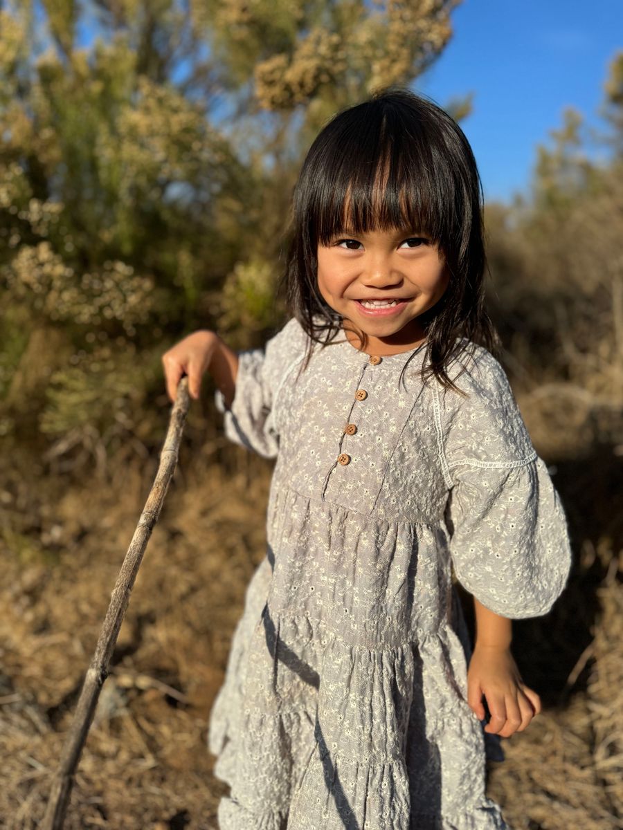 Sadie Dress | Taupe Eyelet | Vignette