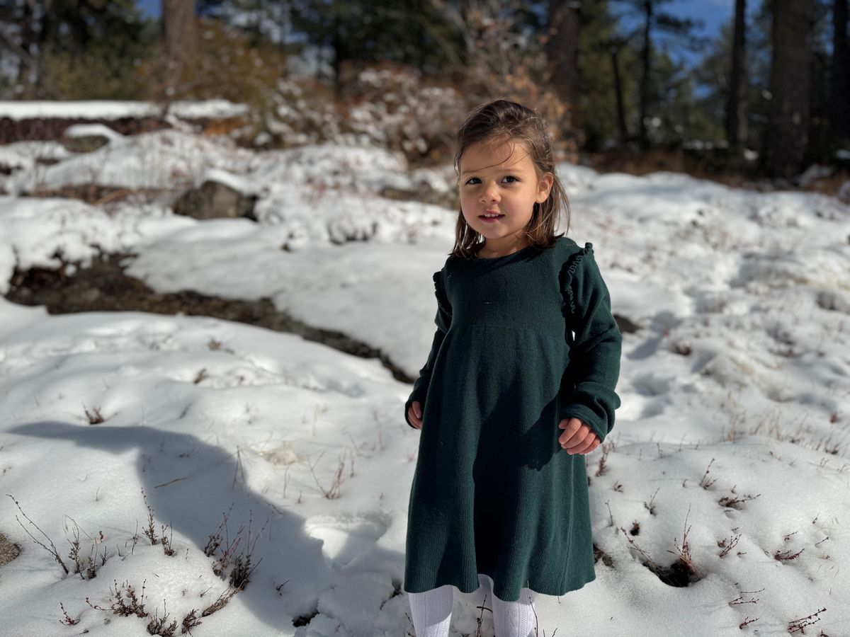 Mia Dress | Hunter Green | Vignette
