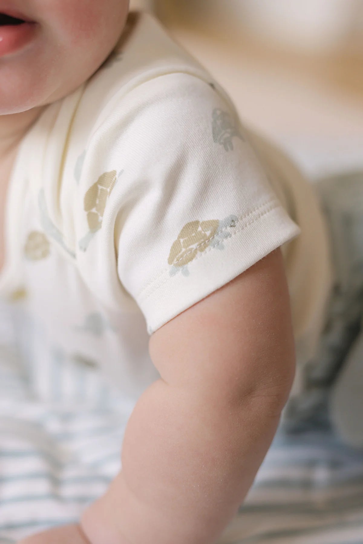 Classic One-Piece | Pehr | Wildlings Turtle