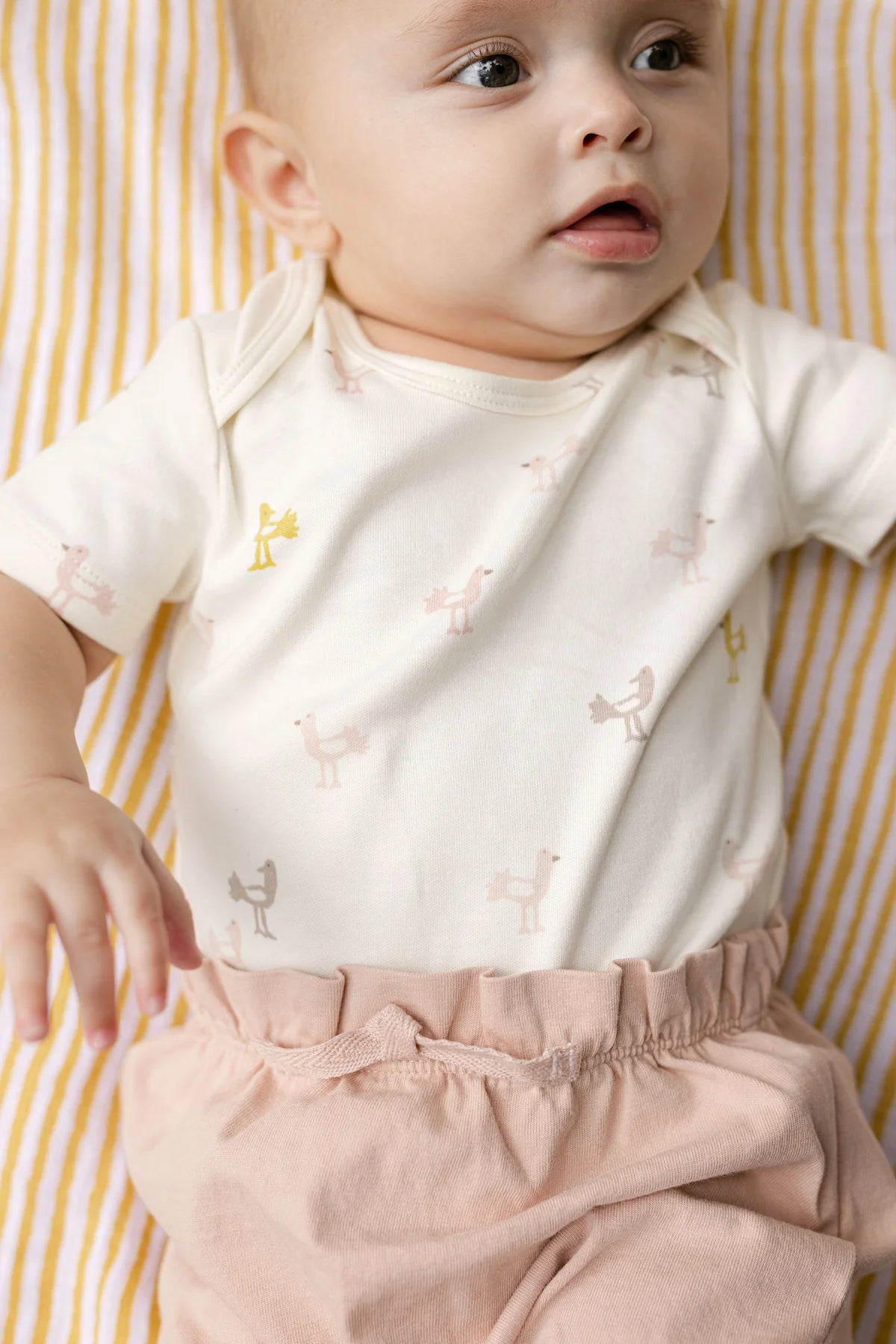 Classic One-Piece | Pehr | Wildlings Bird