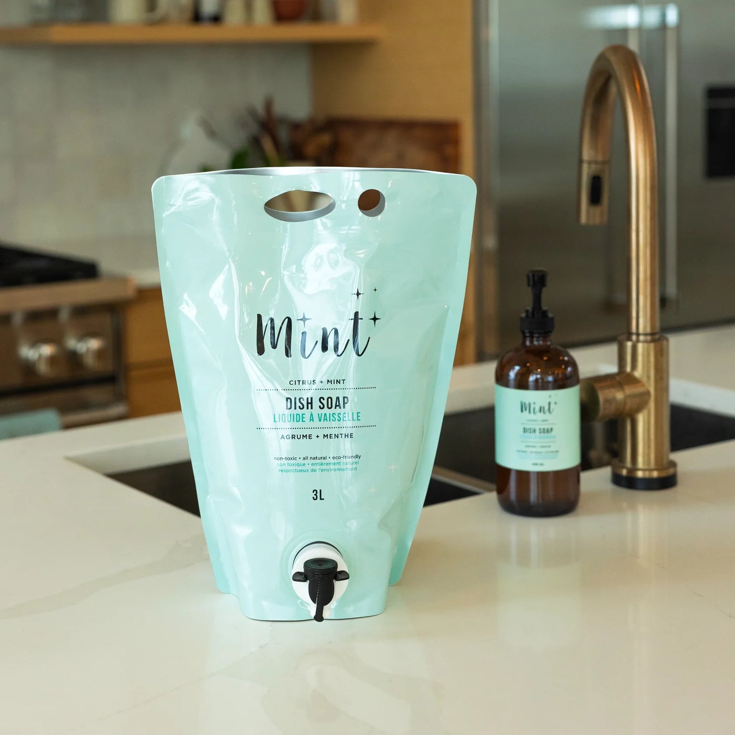 Dish Soap | Mint Cleaning
