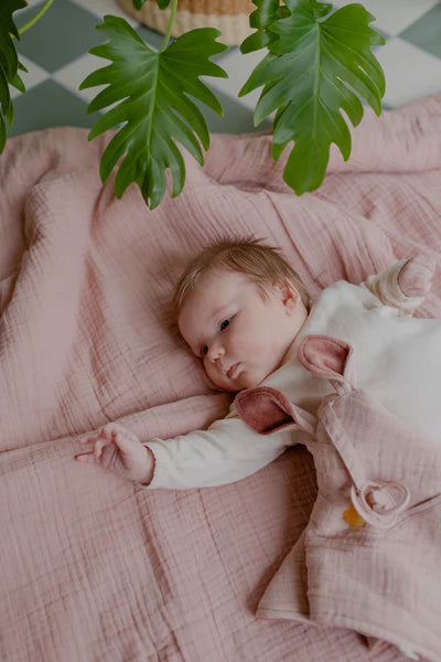 Cuddle Cloth Kangaroo by BIBS