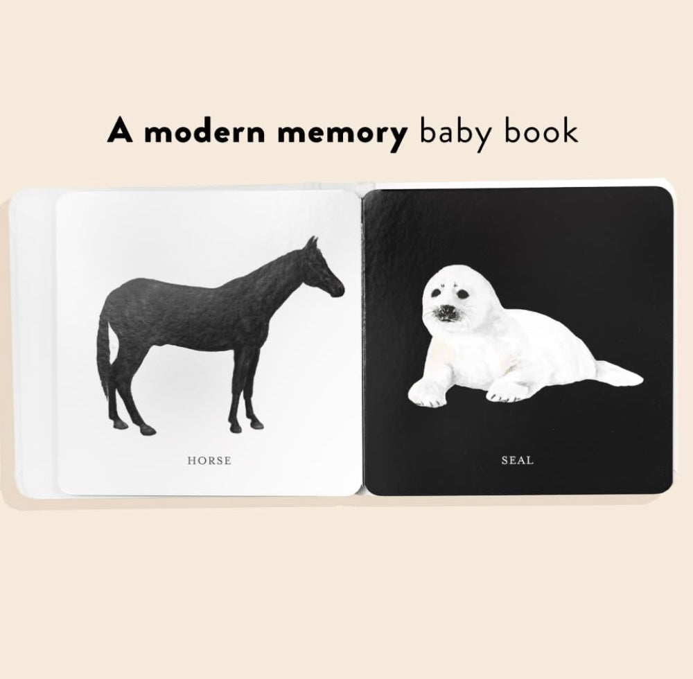 Baby's Black and White Contrast Book