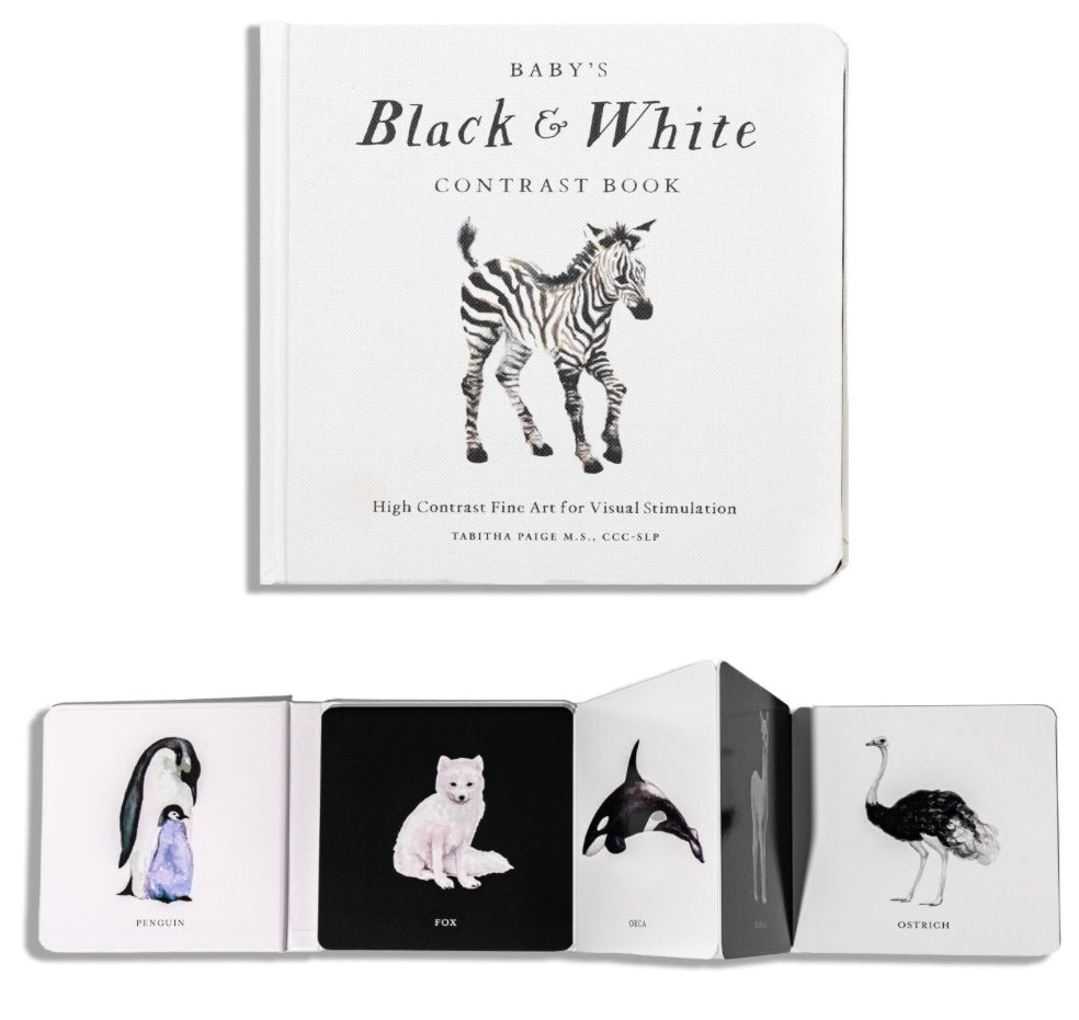 Baby's Black and White Contrast Book