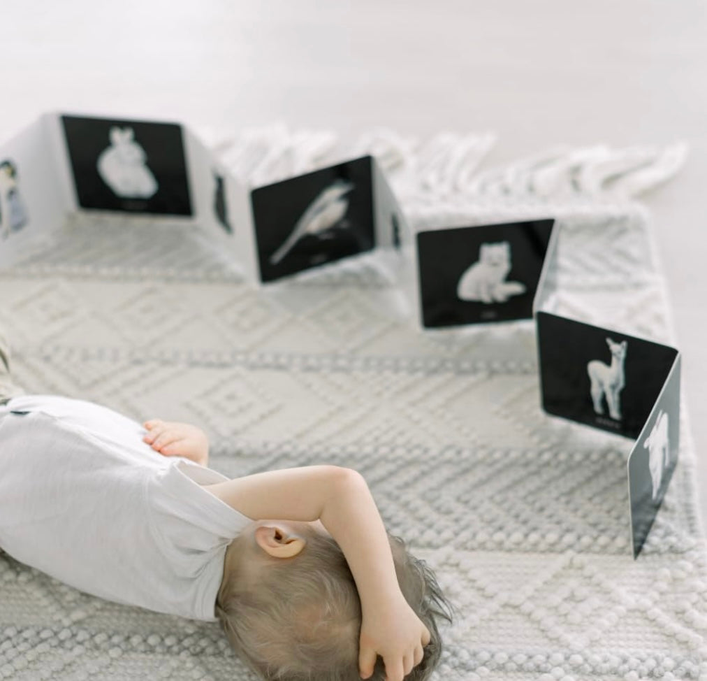 Baby's Black and White Contrast Book
