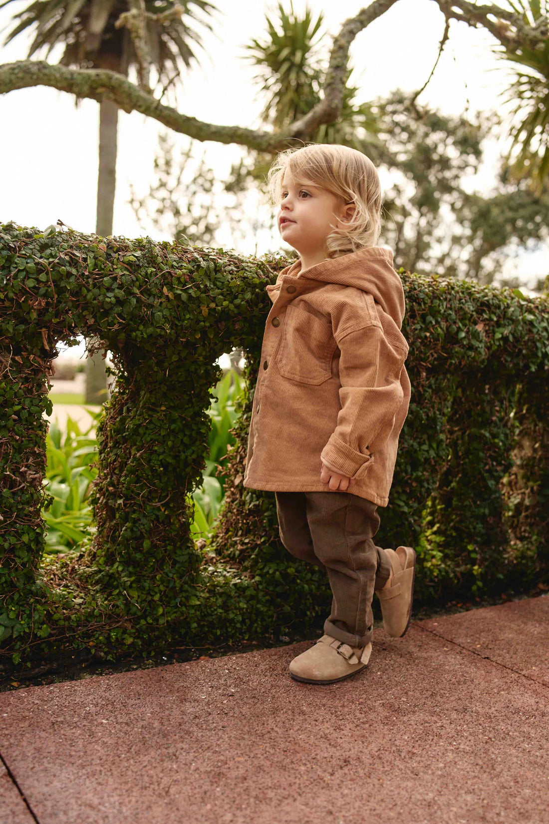 Blair Jacket | Tiger | Jamie Kay