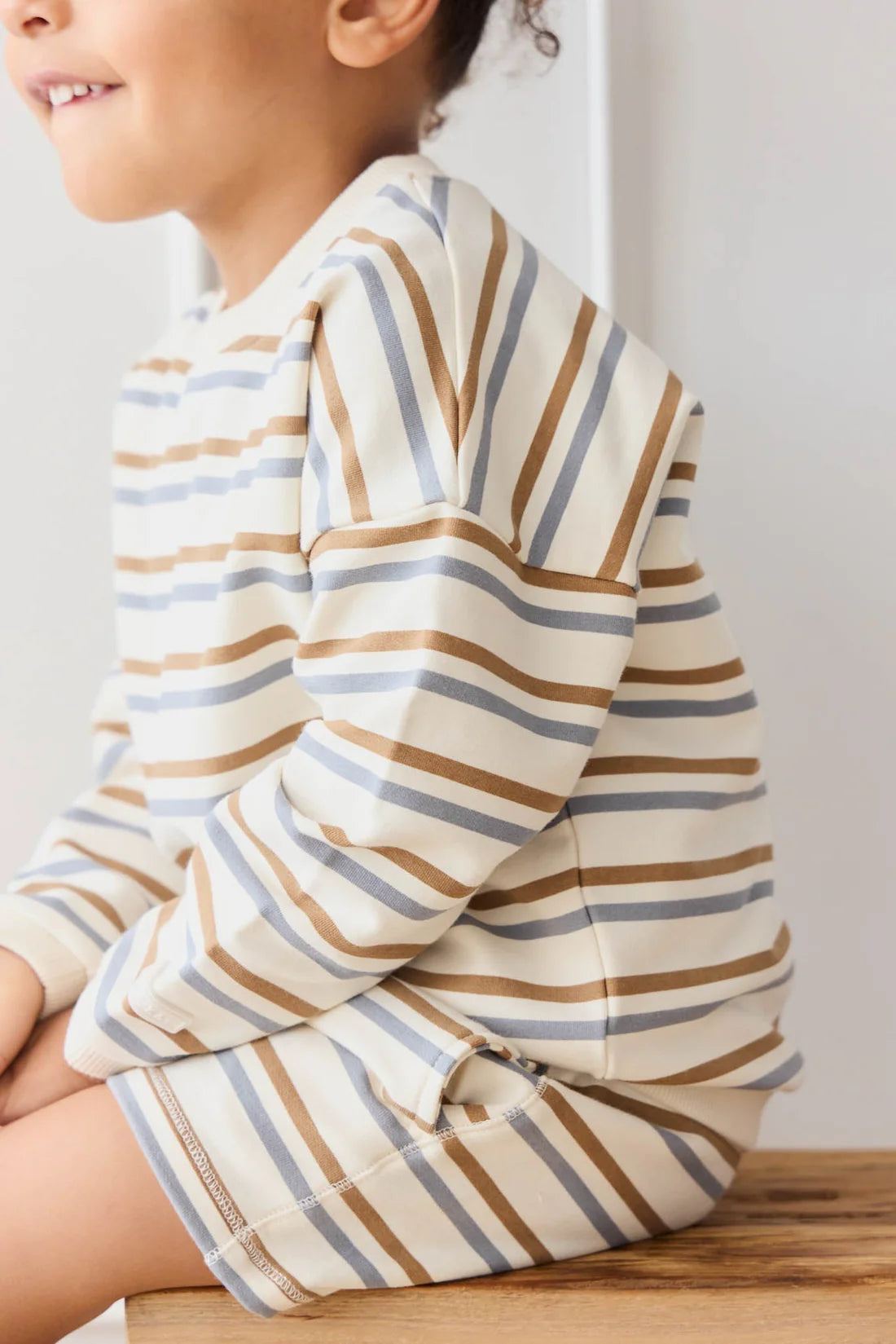 Organic Cotton Damien Sweatshirt | Hudson Stripe Tiger | Jamie Kay