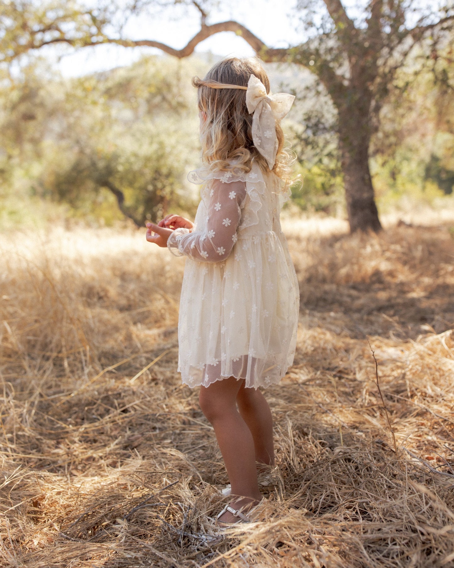 Everly Bow | Embroidered Daisy | Noralee
