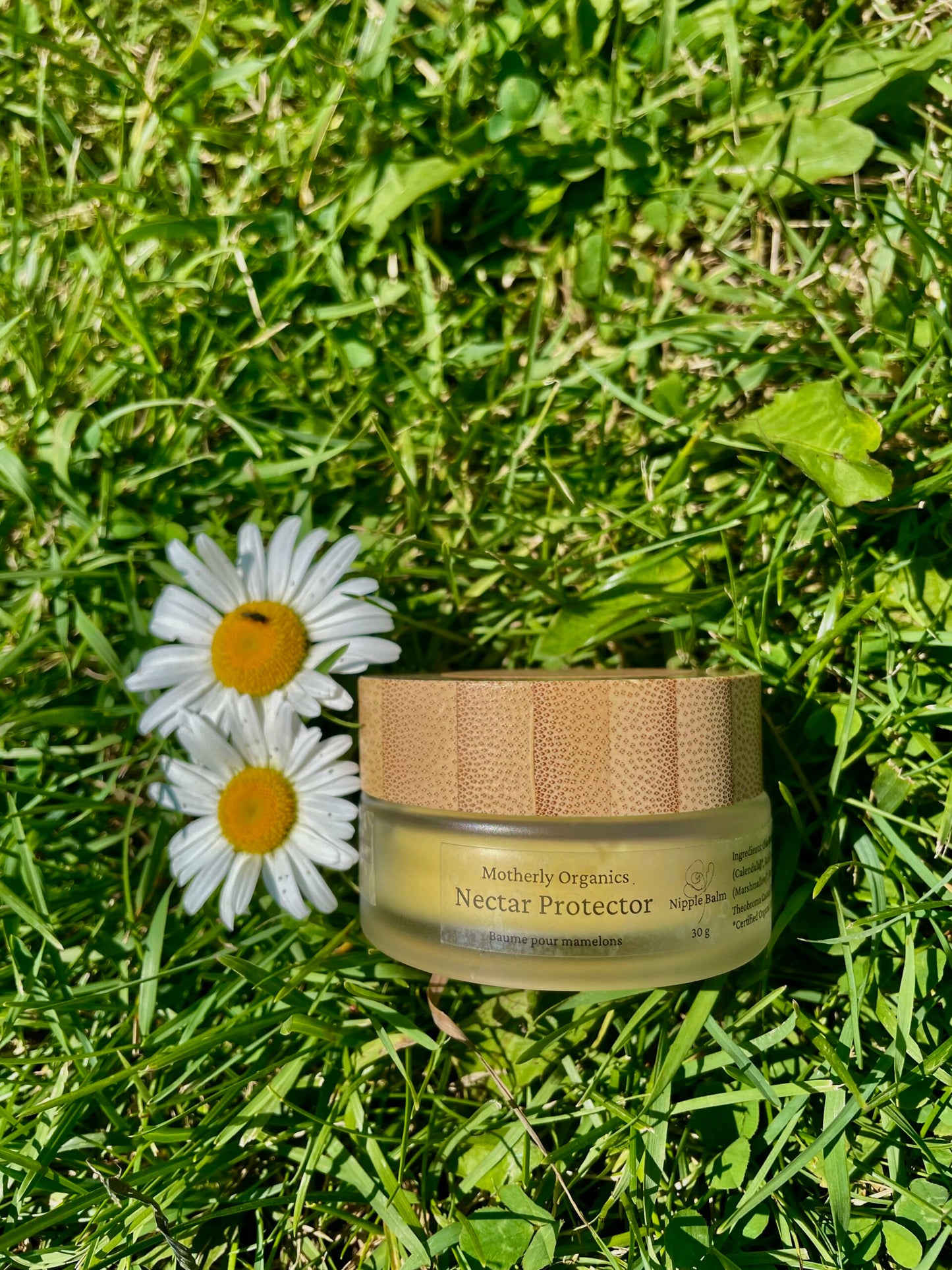 Nectar Protector | Nipple Balm | Motherly Organics