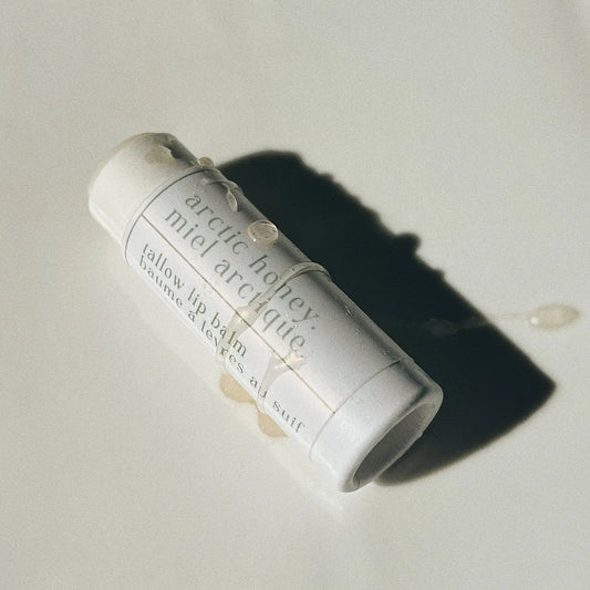 Arctic Honey Tallow Lip Balm | Genesis Tallow