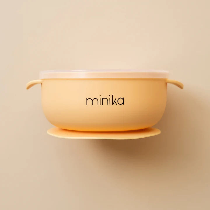 Silicone Bowl with Lid