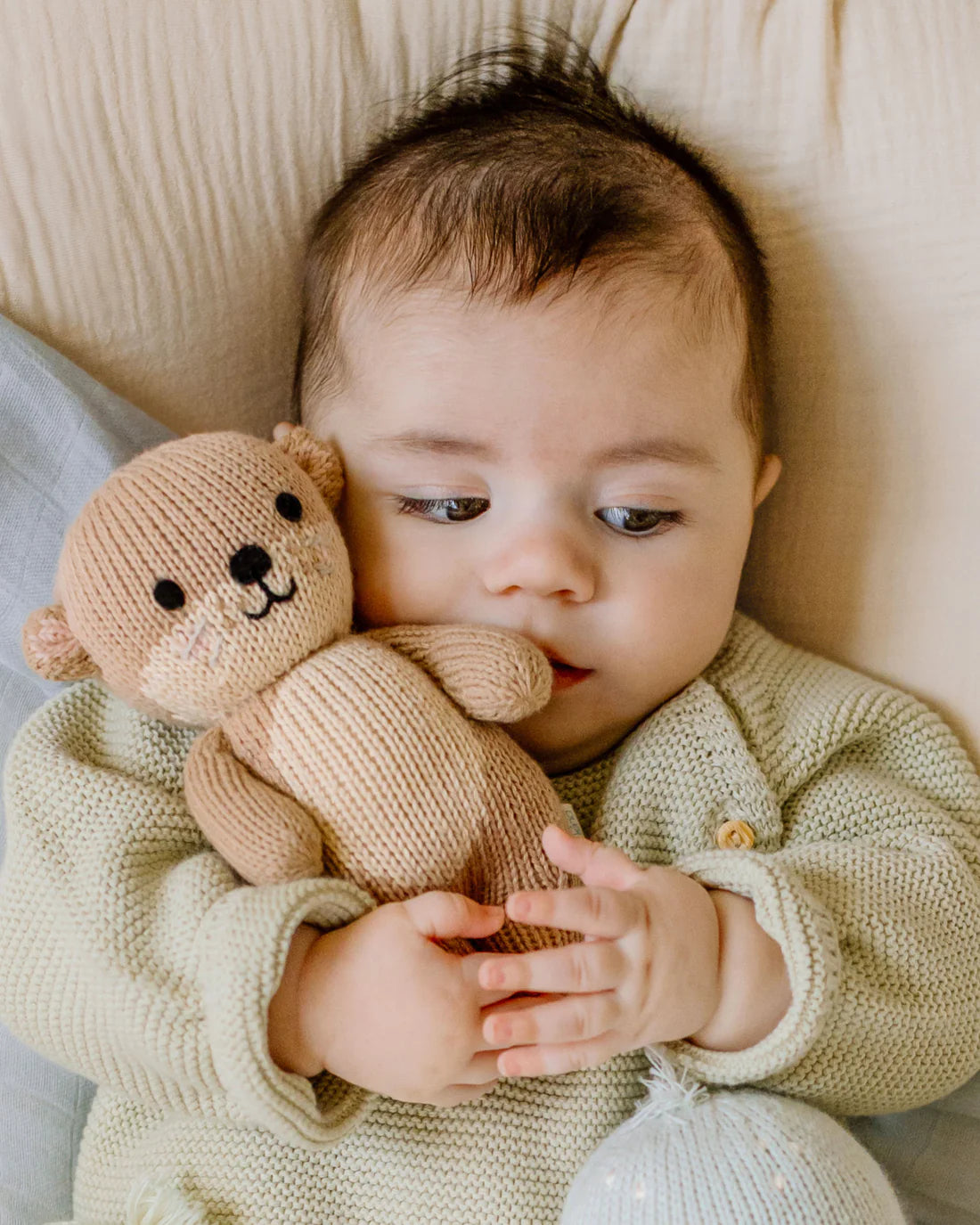 Bébé chiot