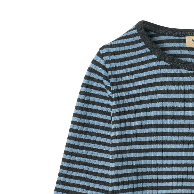 Long Sleeve T-shirt Stig | Bright Blue Stripe | Wheat Kids