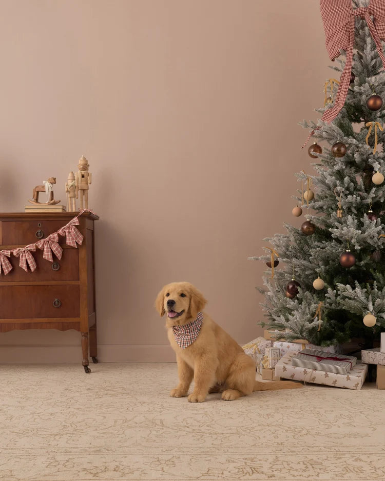 Dog Bandana | Holiday Gingham | Rylee & Cru