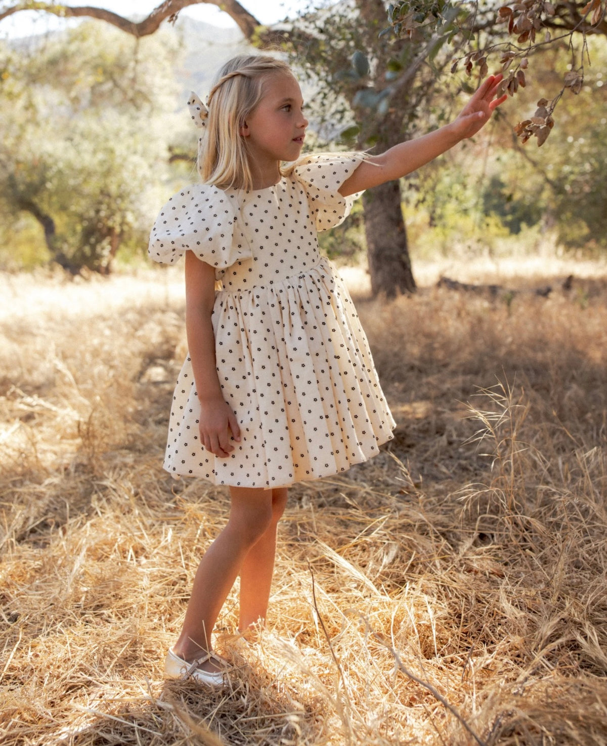 Sofia Dress | Black Daisy | Noralee