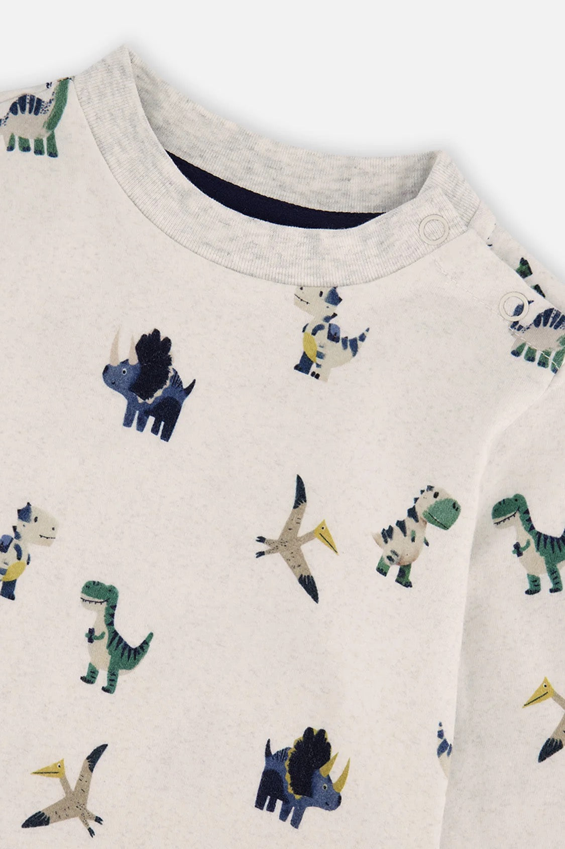 Cotton T-Shirt & Fleece Pant Set | Dinosaurs | Deux Par Deux