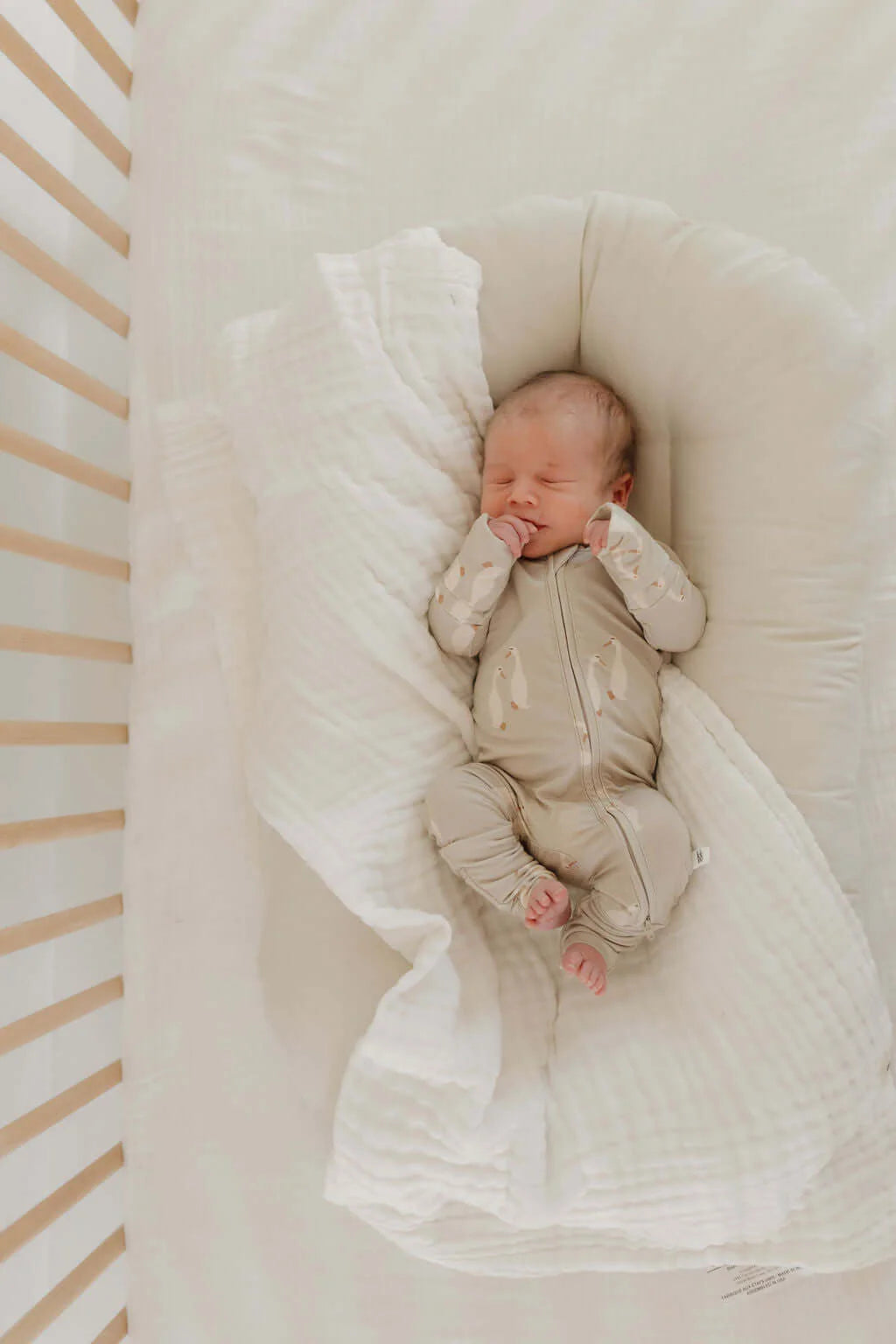 The Perfect Sleeper