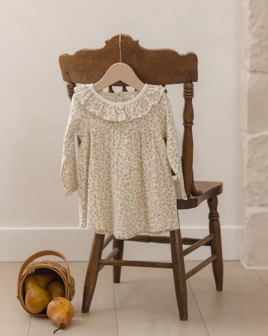Ruffle Collar Jersey Dress | Floret | Quincy Mae
