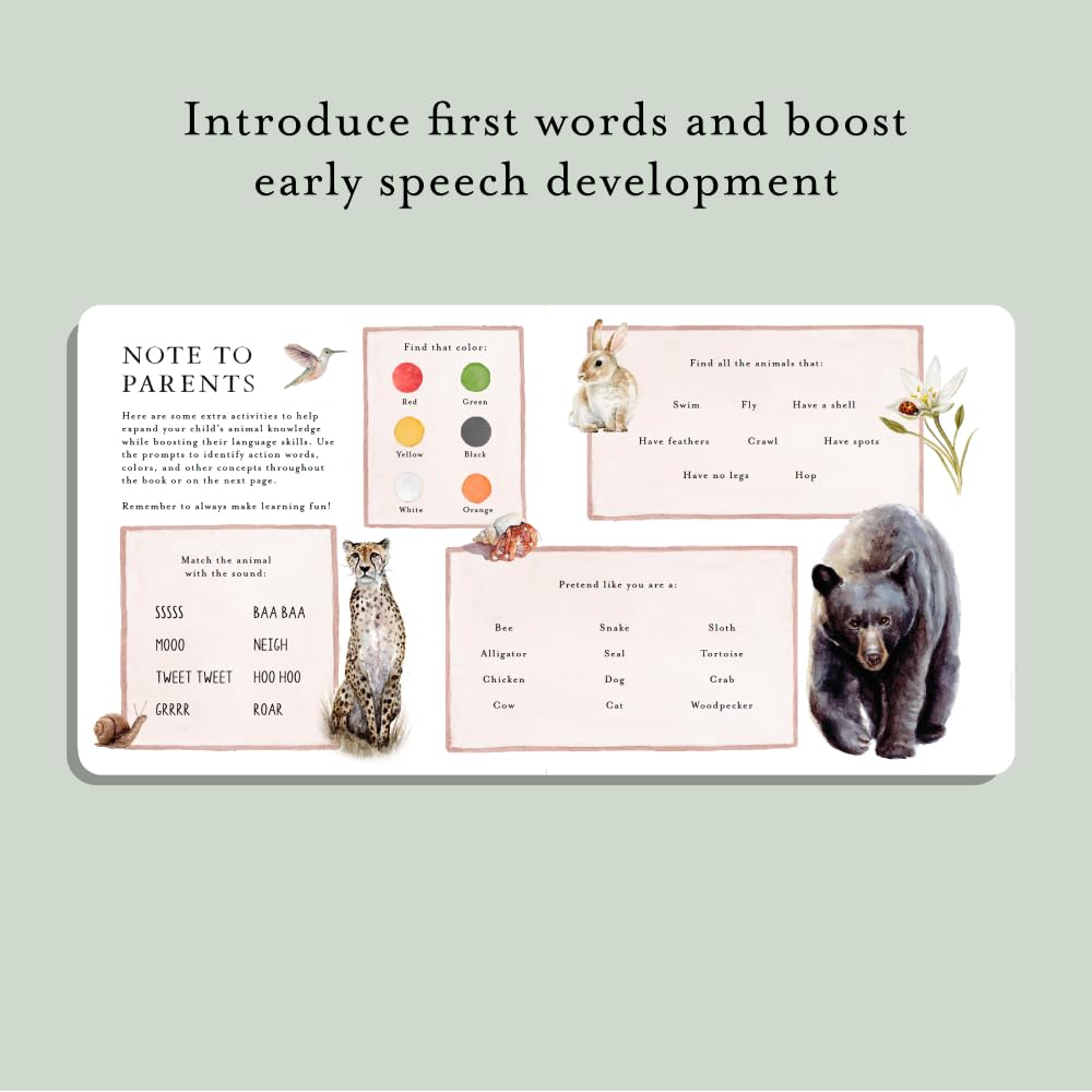Our Big Book of Animals | Books