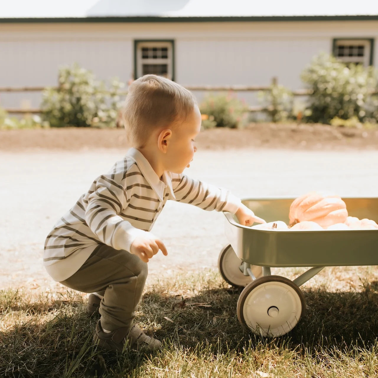 Collared Outfit Set | Farm Green Striped | Petit Lem