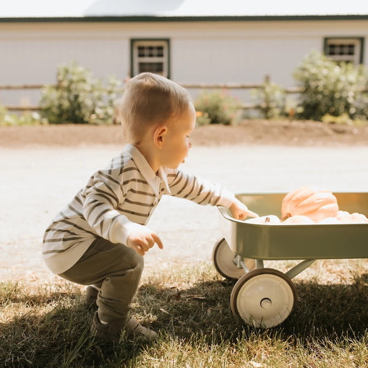 Collared Outfit Set | Farm Green Striped | Petit Lem