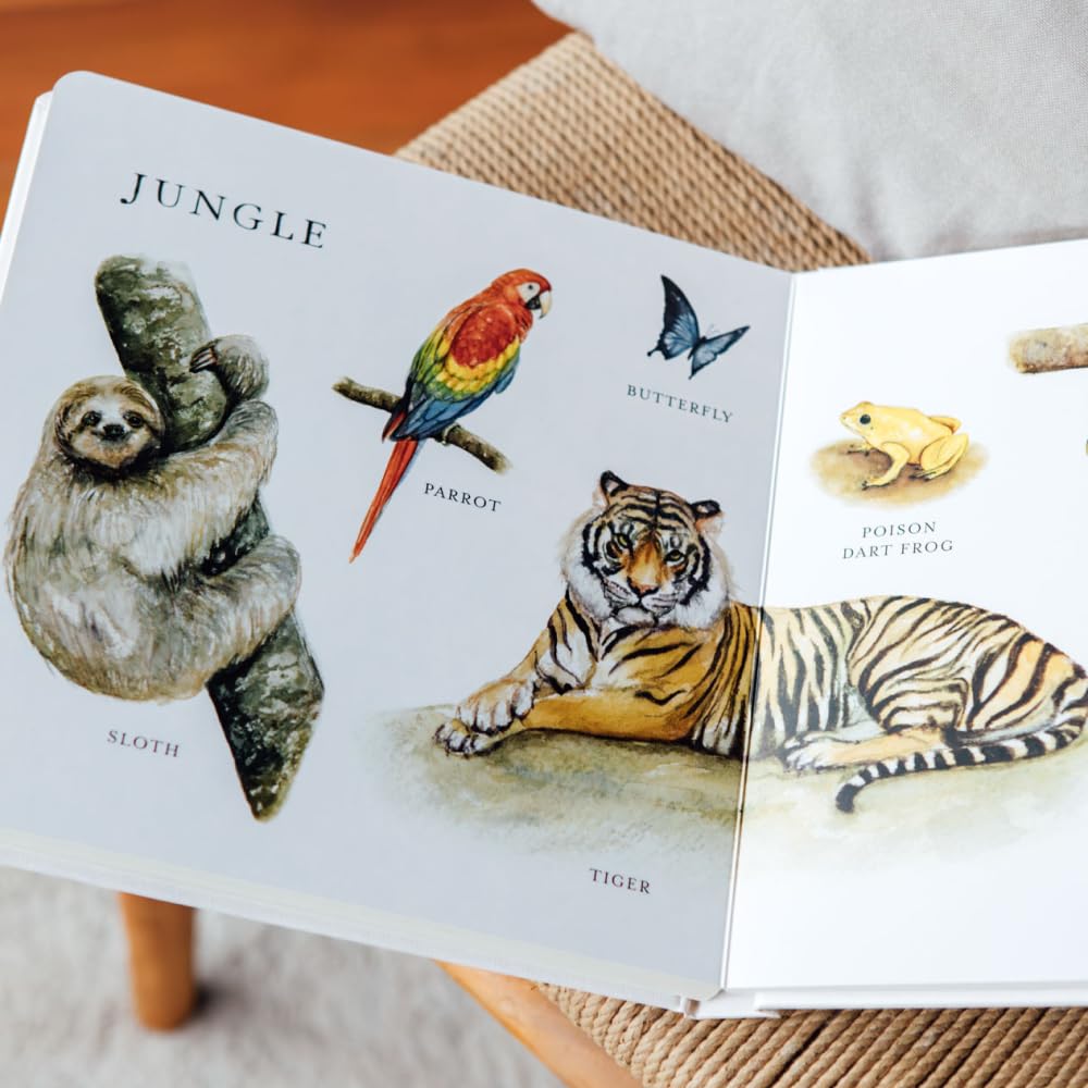 Our Big Book of Animals | Books