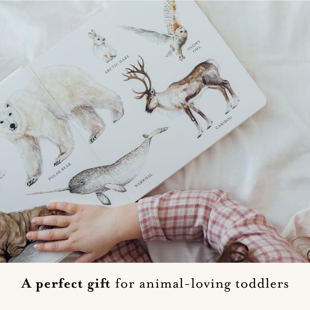 Our Big Book of Animals | Books