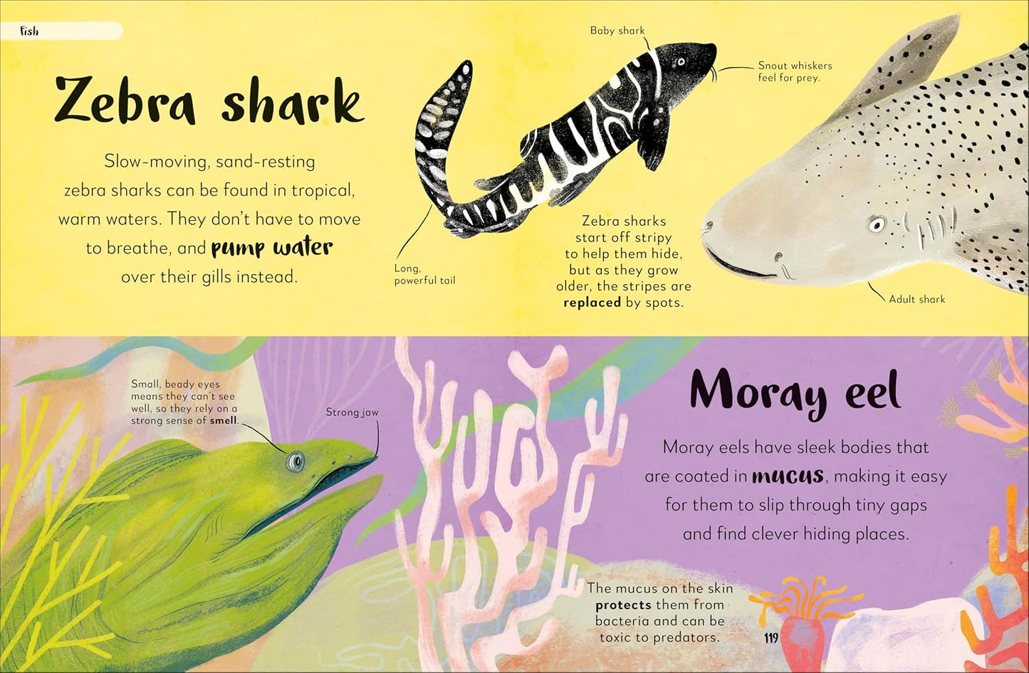 The Bedtime Book of Nighttime Animals | Books