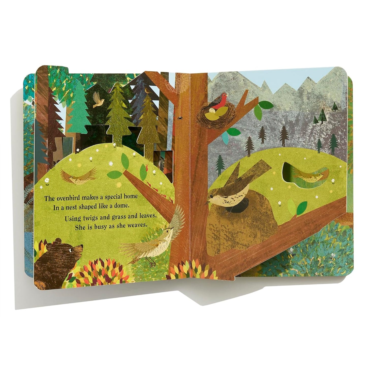 Home: A Peek-Through Board Book | Books