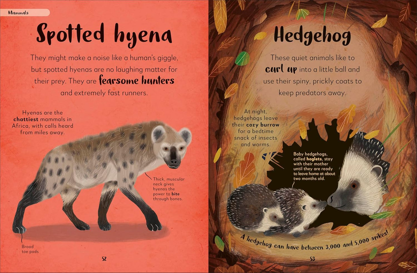 The Bedtime Book of Nighttime Animals | Books