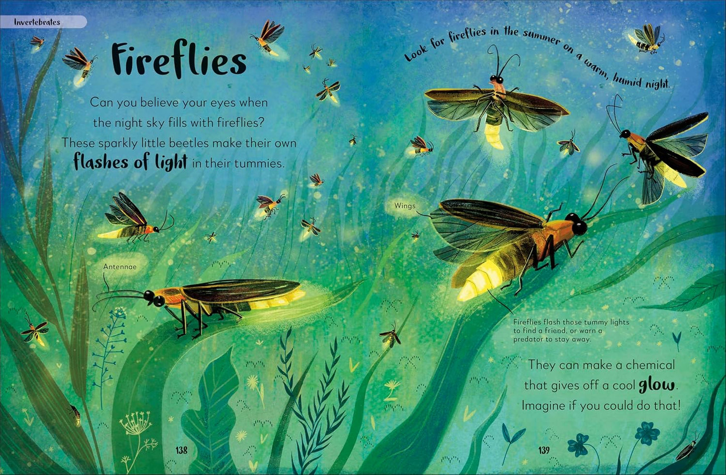 The Bedtime Book of Nighttime Animals | Books