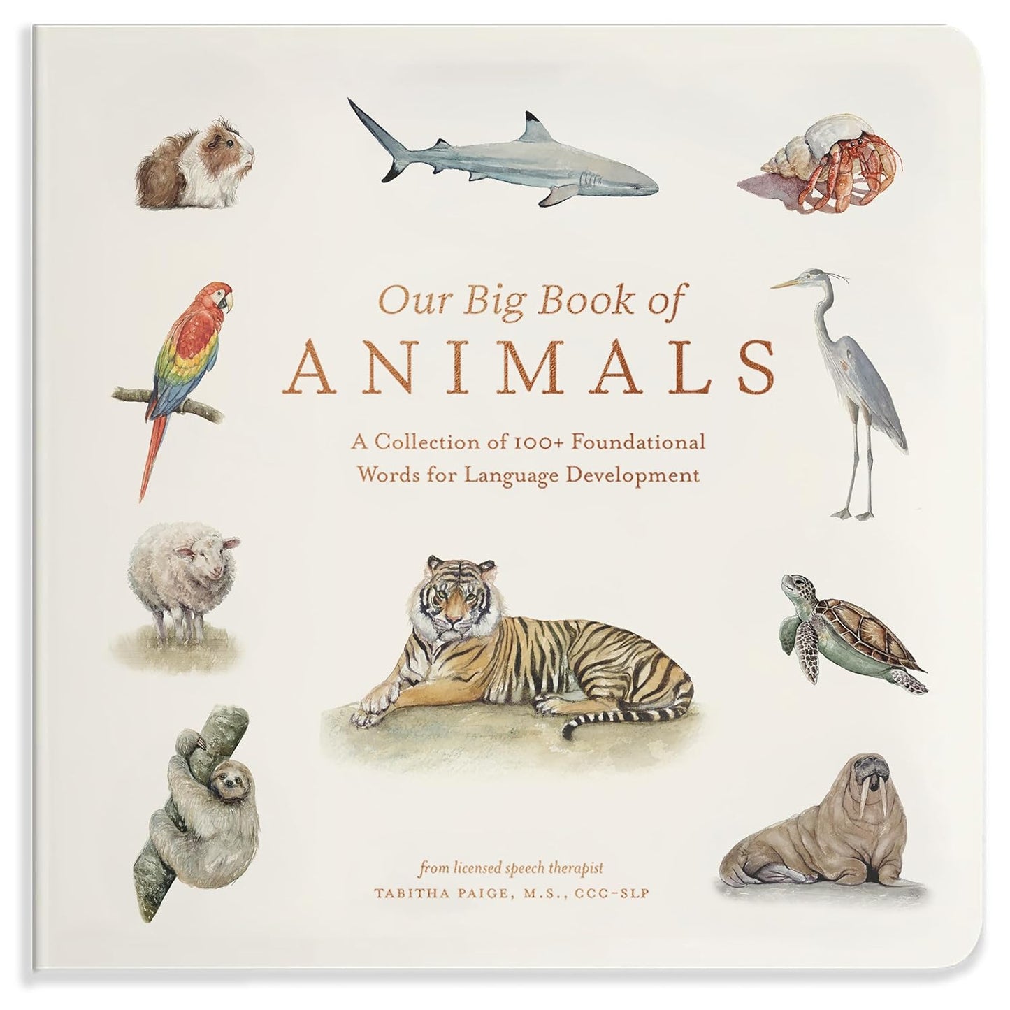 Our Big Book of Animals | Books
