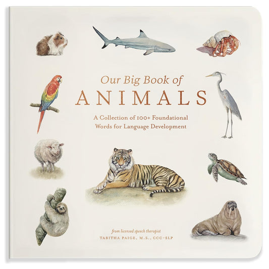 Our Big Book of Animals | Books