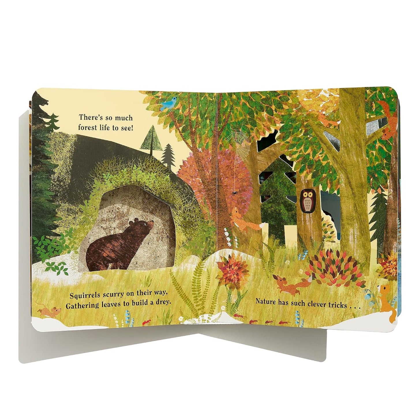 Home: A Peek-Through Board Book | Books