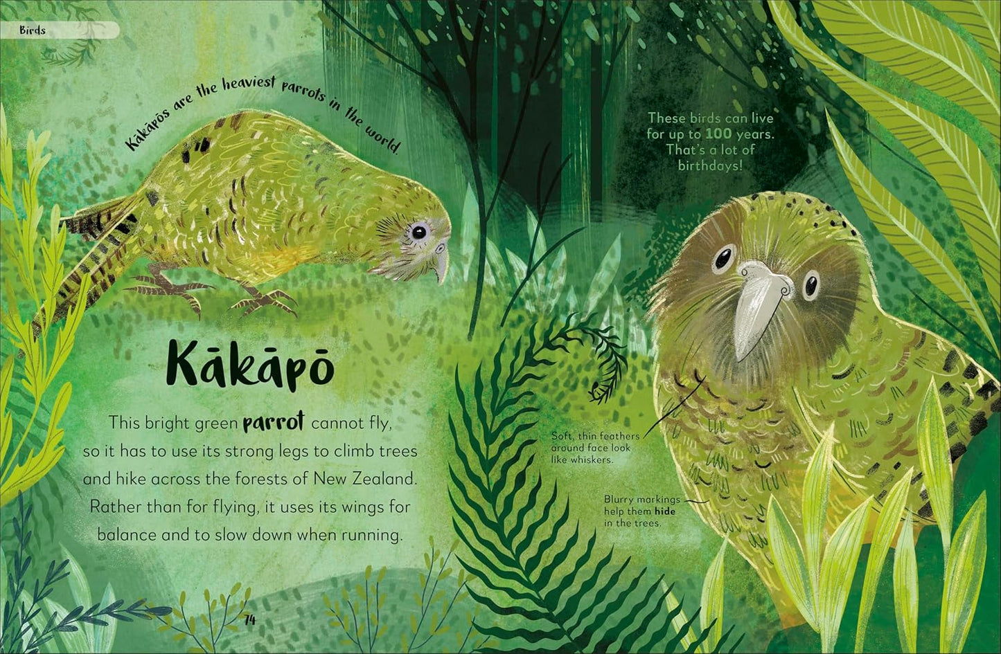 The Bedtime Book of Nighttime Animals | Books