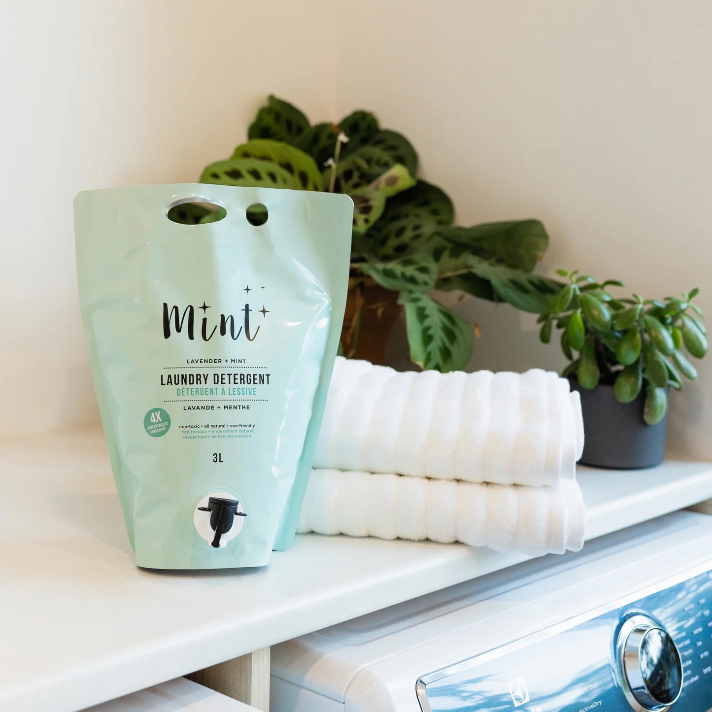 Laundry Detergent | Mint Cleaning