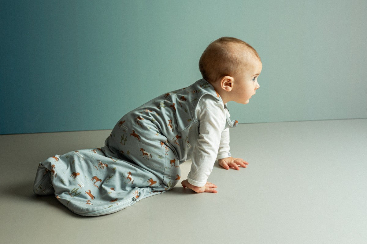 Sleep sack 1.5 Togs | Horses on Whisper | Coccoli