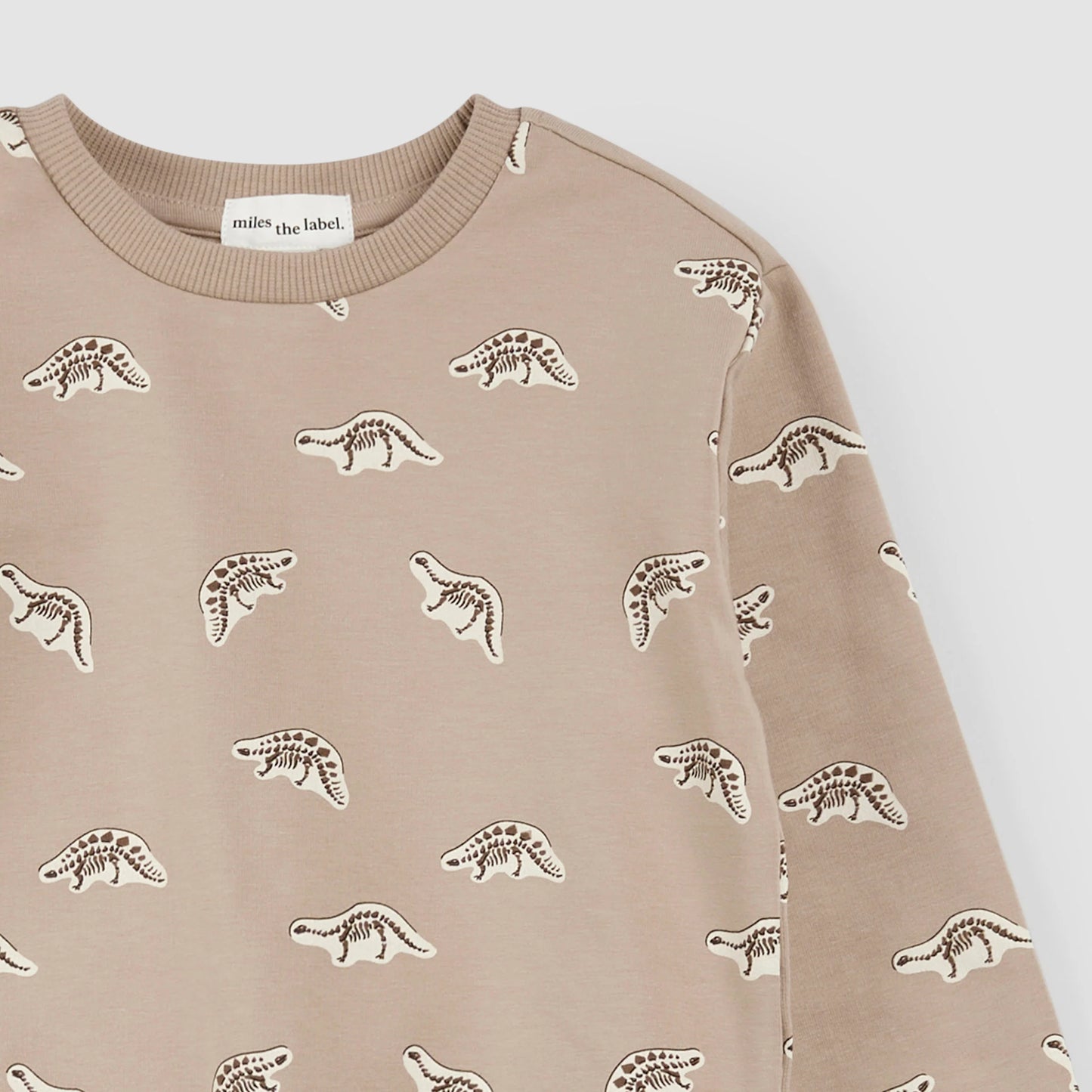 Dino Fossil Print on Taupe Sweatshirt | Miles The Label