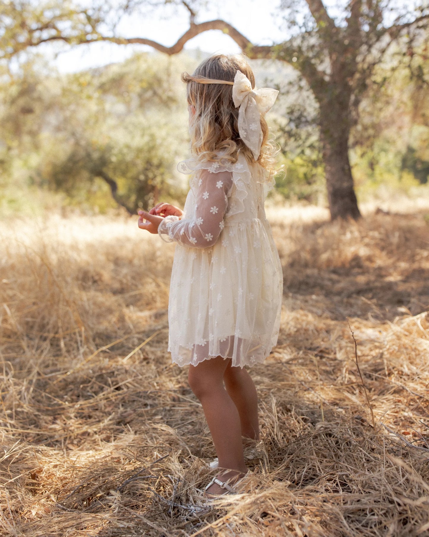 Celine Dress | Embroidered Daisy | Noralee