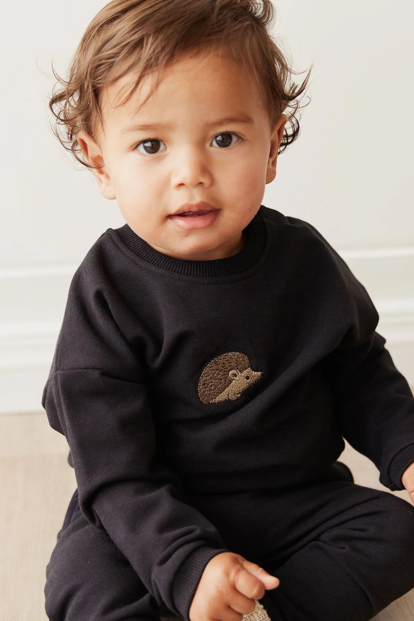 Organic Cotton Damien Sweatshirt | Constellation Hedgehog | Jamie Kay