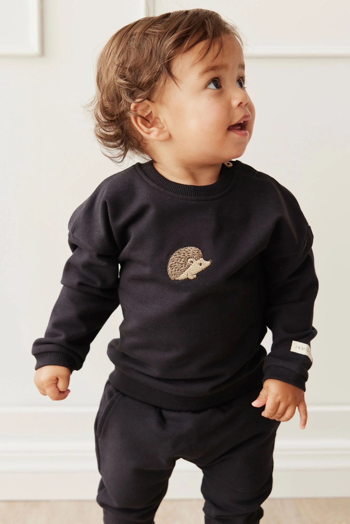 Organic Cotton Damien Sweatshirt | Constellation Hedgehog | Jamie Kay