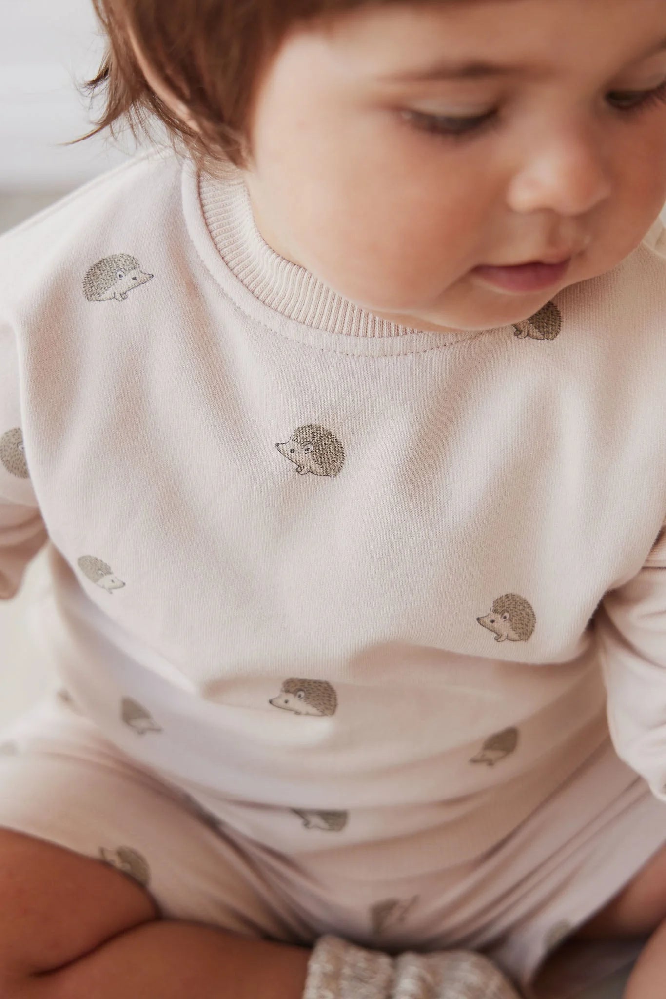 Organic Cotton Knit Sweatshirt | Henry Hedgehog Birch | Jamie Kay