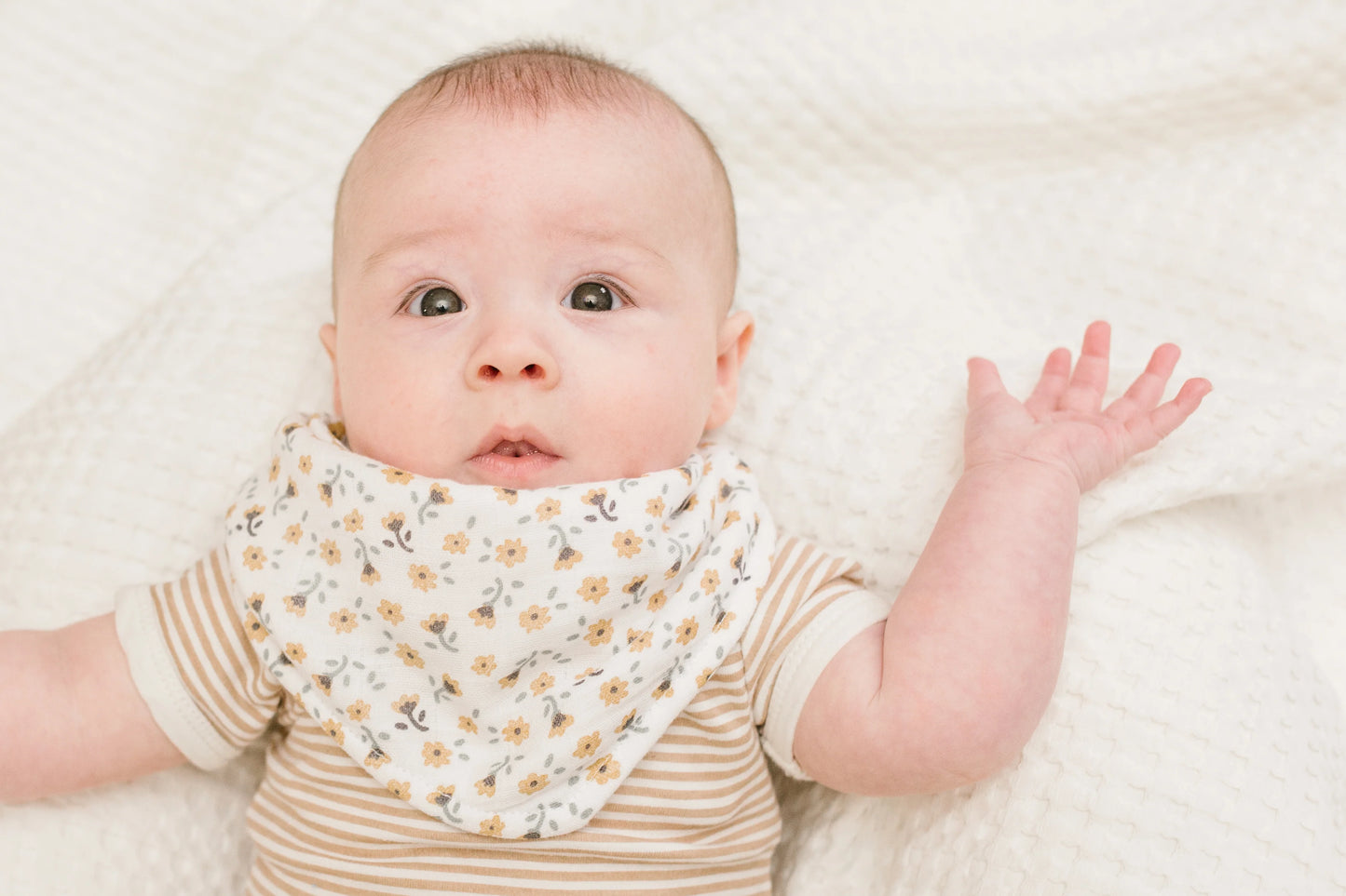 Bandana Bibs | Dragonfly & Vintage Floral | Lulujo