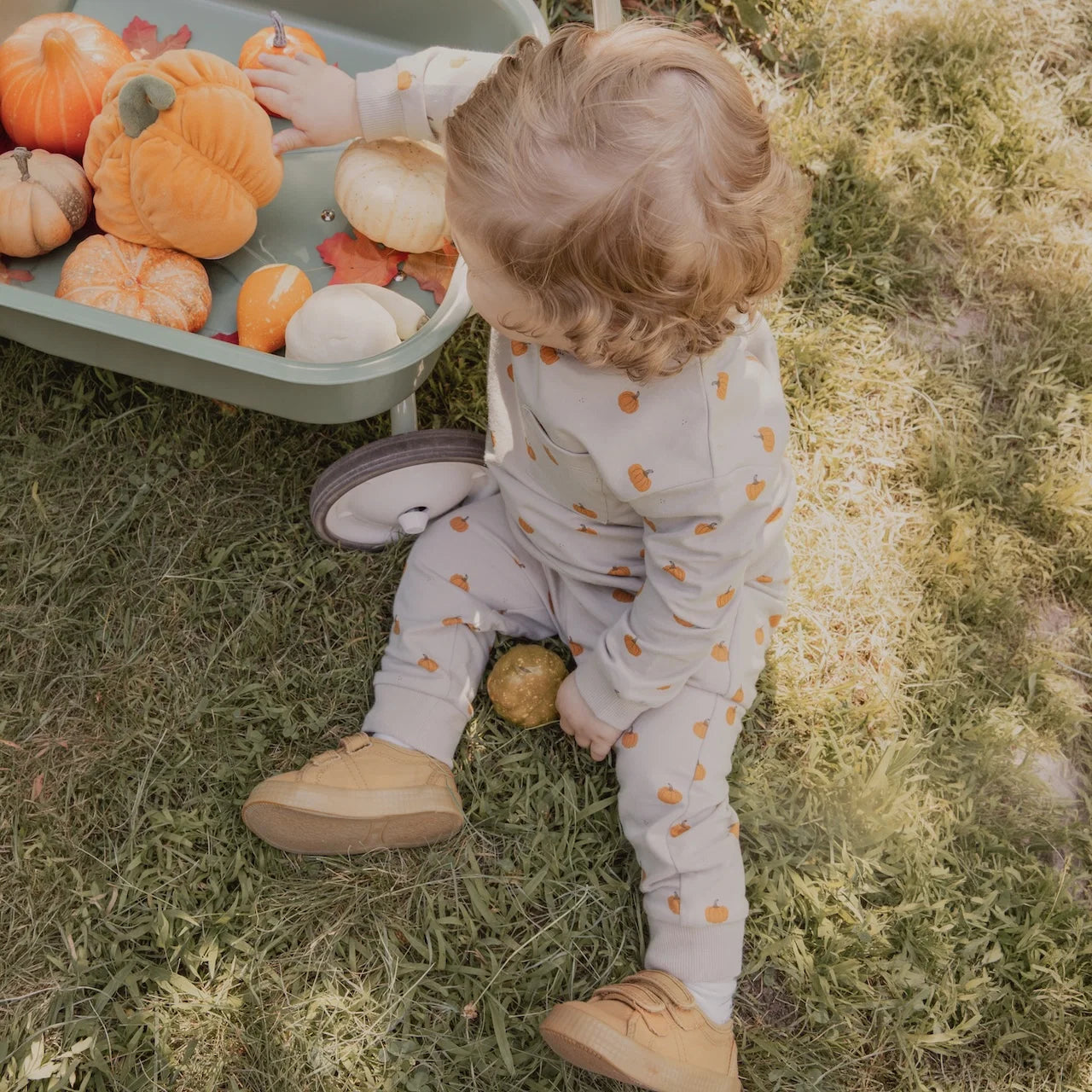 Little Pumpkin Outfit Set | Petit Lem