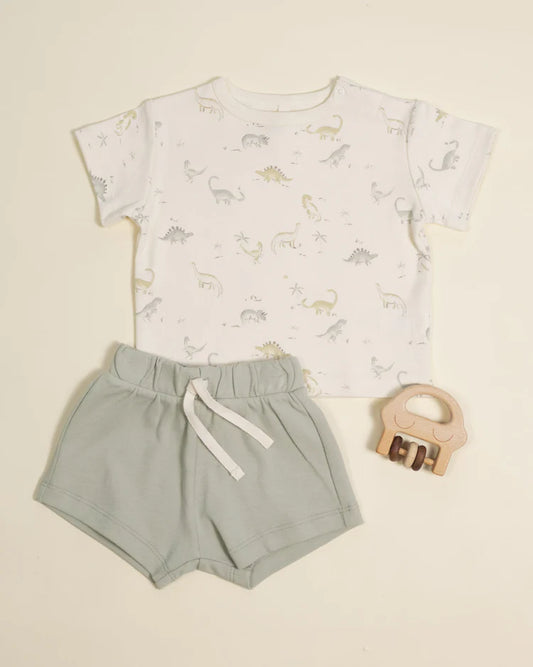 Boxy Tee | Dinosaur | Quincy Mae