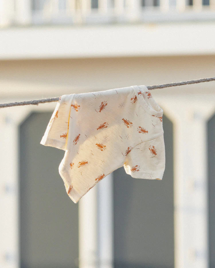 Play Set | Lobsters | Rylee & Cru