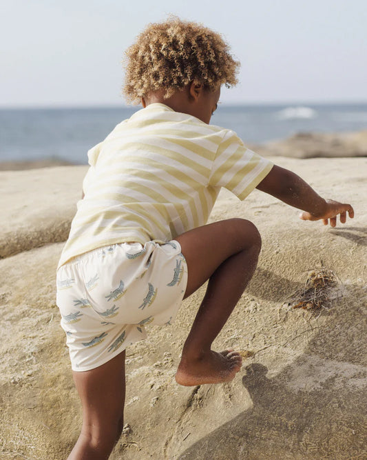 Swim Trunk | Alligators | Rylee & Cru