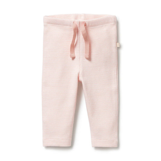 Organic Stripe Rib Legging | Cantaloupe | Wilson + Frenchy