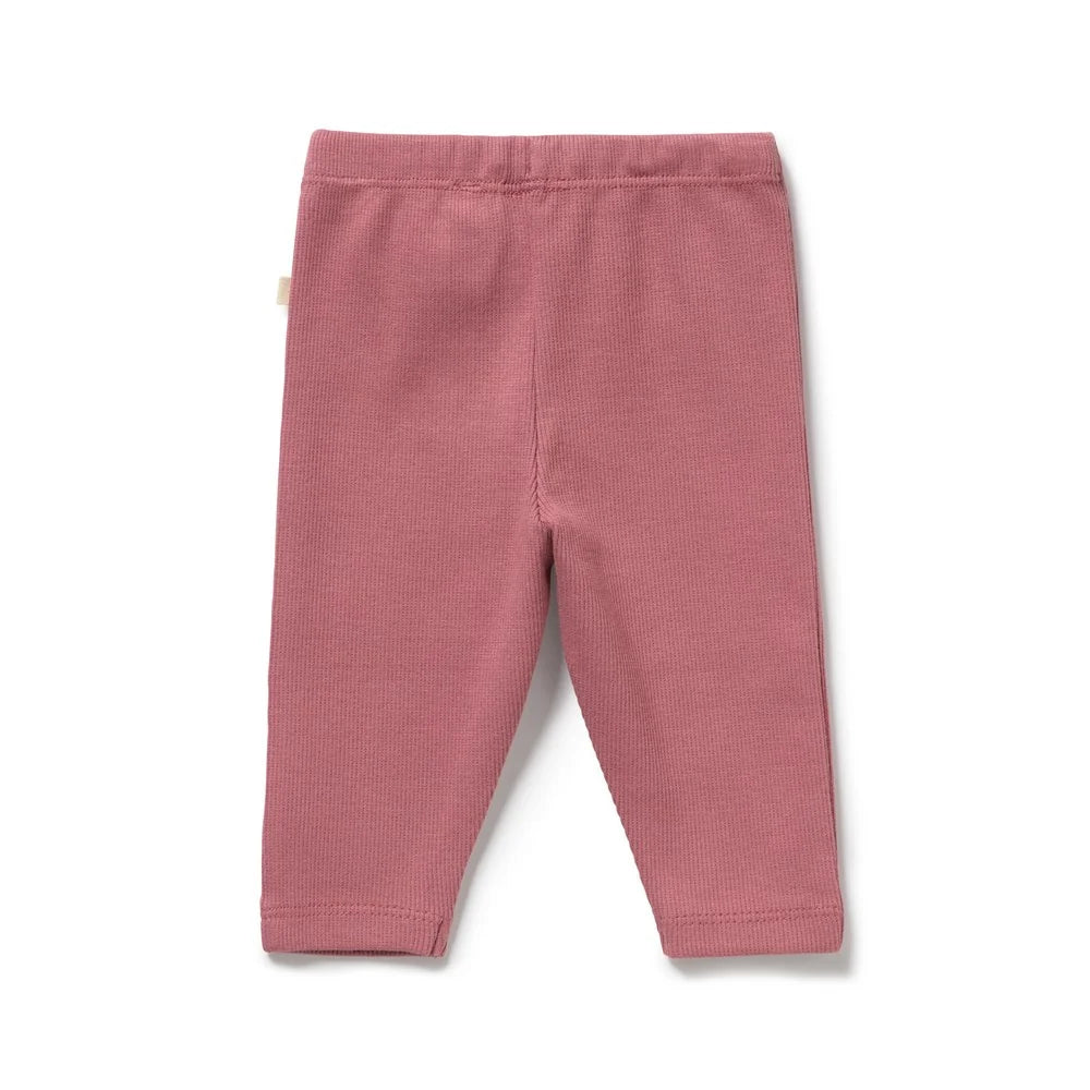 Organic Ribbed Legging | Plum | Wilson & Frenchy