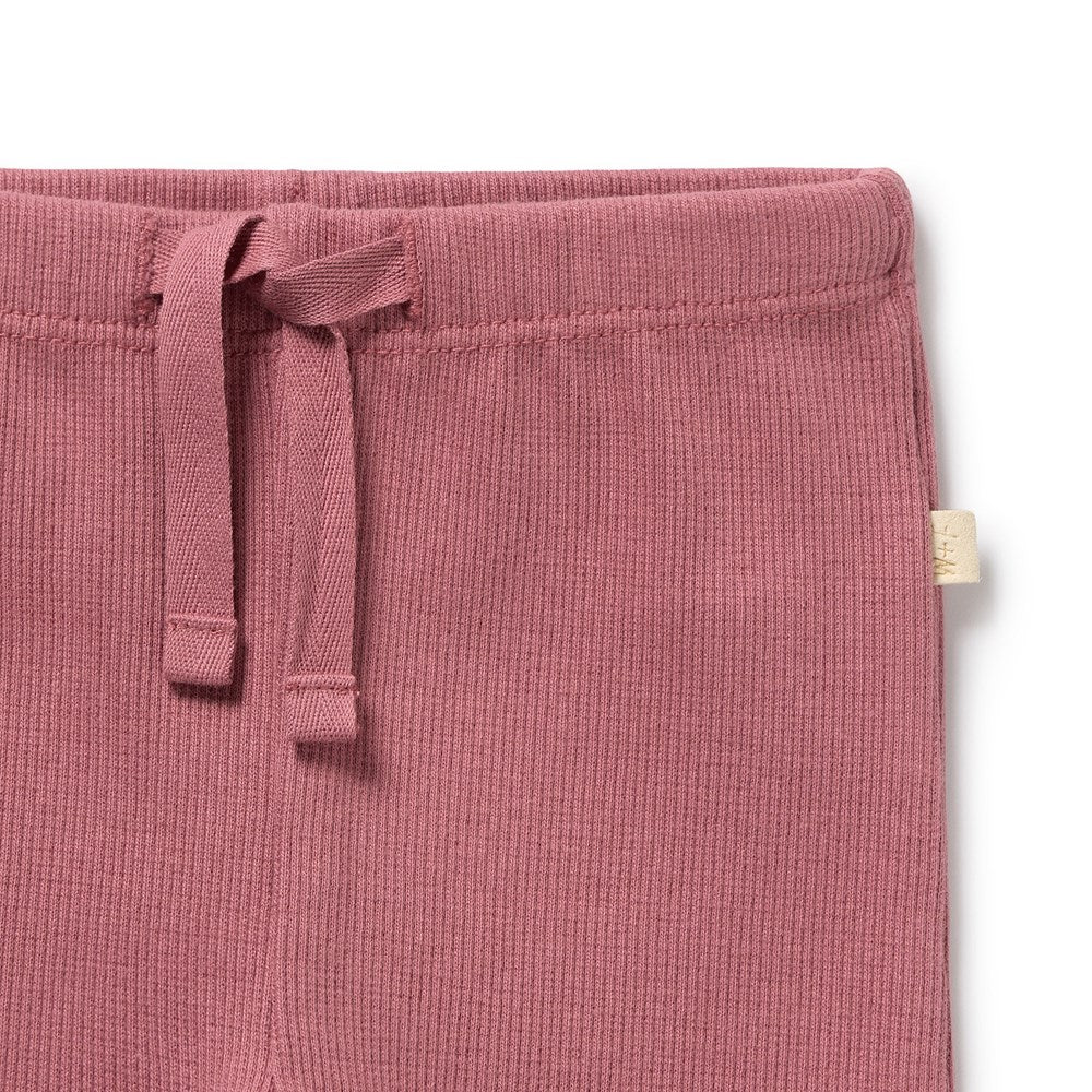 Organic Ribbed Legging | Plum | Wilson & Frenchy